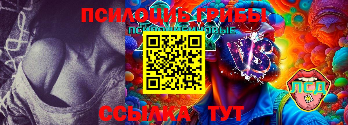 где найти   Вход с VPN  Сатка  Псилоцибиновые грибы Magic Shrooms 