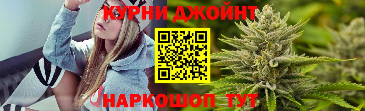 Канабис сатива Сатка